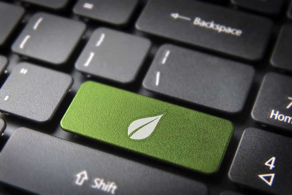 Le consultant green IT a un rôle prépondérant dans la transition écoresponsable d’une entreprise. © cienpies, Adobe Stock