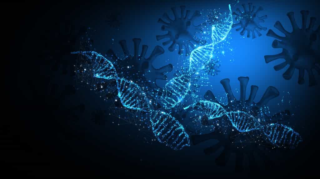 Un facteur génétique peut avoir des effets négatifs et positifs. © sasun Bughdaryan, Adobe Stock