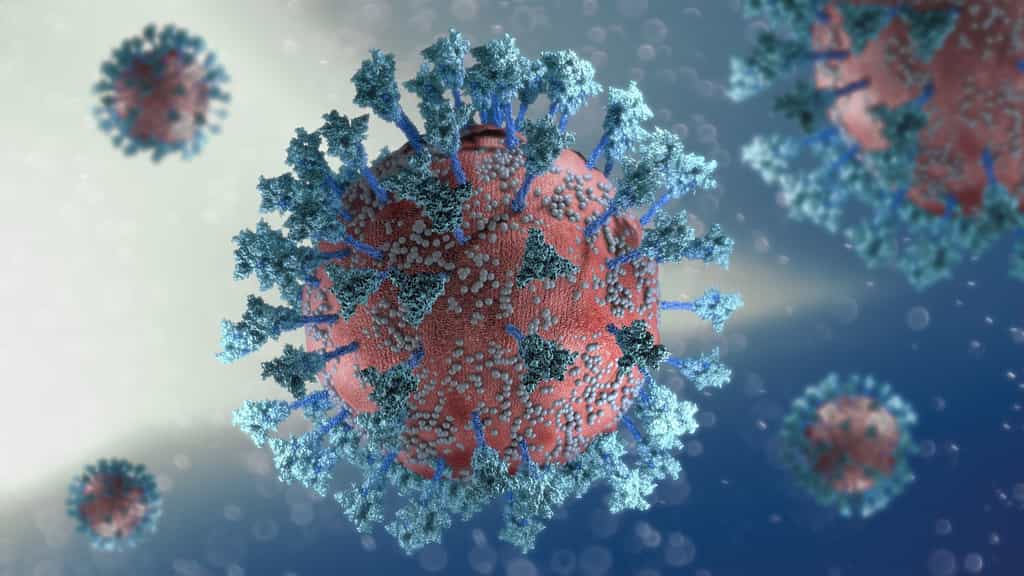 Les lymphocytes T sont des cellules immunitaires. Pour lutter contre une infection, ils détruisent les cellules infectées. © Naeblys, Adobe Stock