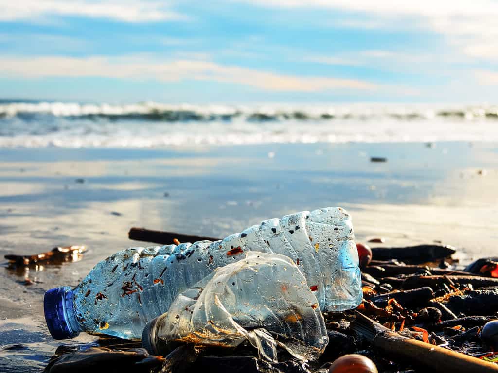 24 millions de tonnes de déchets plastiques sont produits par les 22 pays de la région méditerranéenne. © Iryna, fotolia