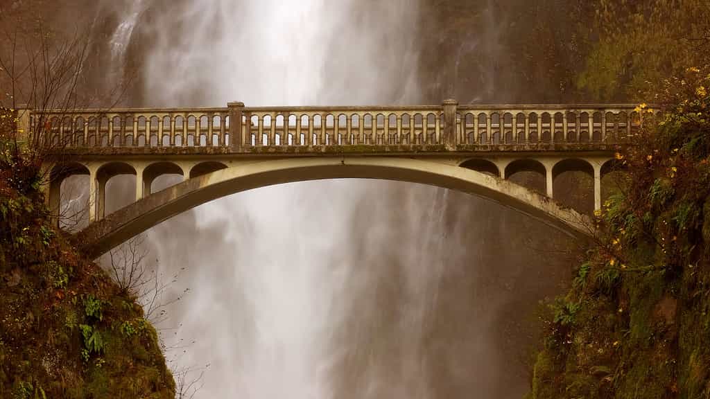 Le pont des chutes de Multnomah. Au-dessus des impressionnantes chutes d’eau de Multnomah, se dresse un pont du même nom. En janvier 2014, il a été victime d’une chute de pierres. Bien que les dégâts n’aient pas été trop importants, le pont est fermé depuis, en attente de réparations. Localisation : Oregon (États-Unis). © Paul M, Flickr, CC by-nc-nd 2.0