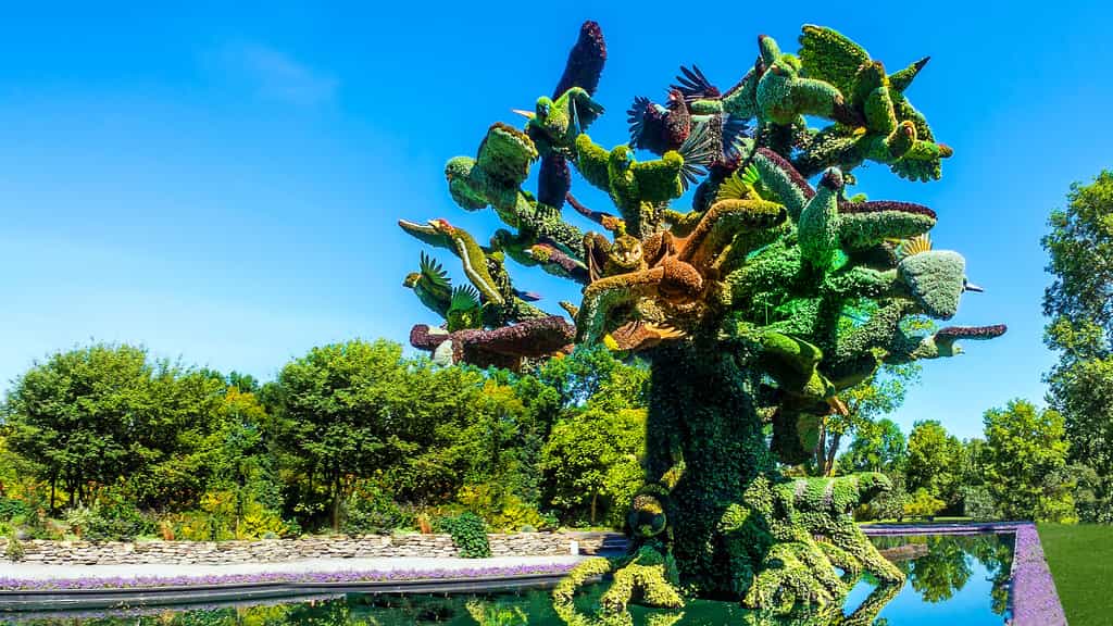 Sculpture végétale de l'arbre aux oiseaux, symbole de la biodiversité