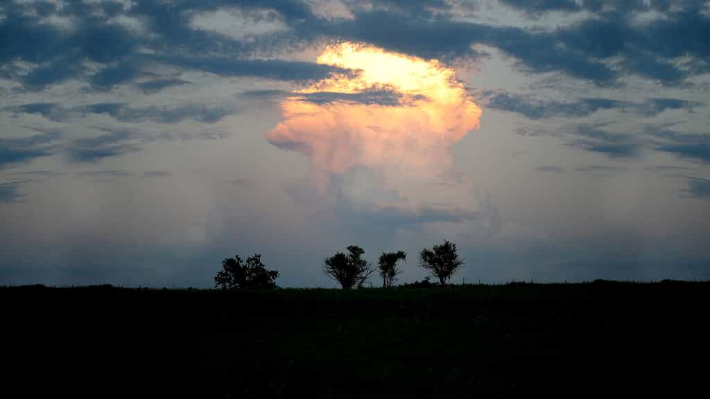 Le nuage en champignon, un type de pyrocumulus