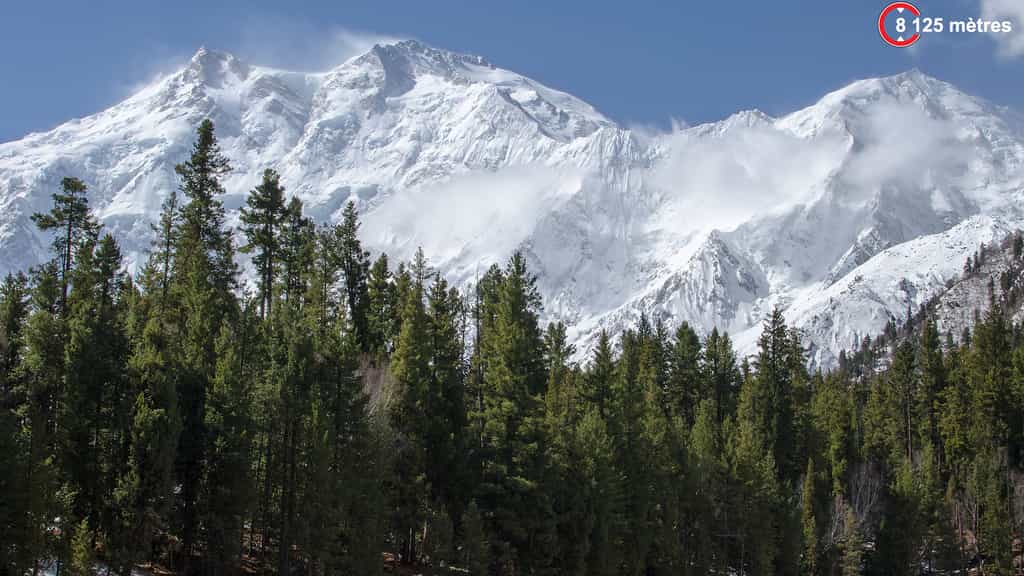 Nanga Parbat, la « Montagne nue », dans l'Himalaya