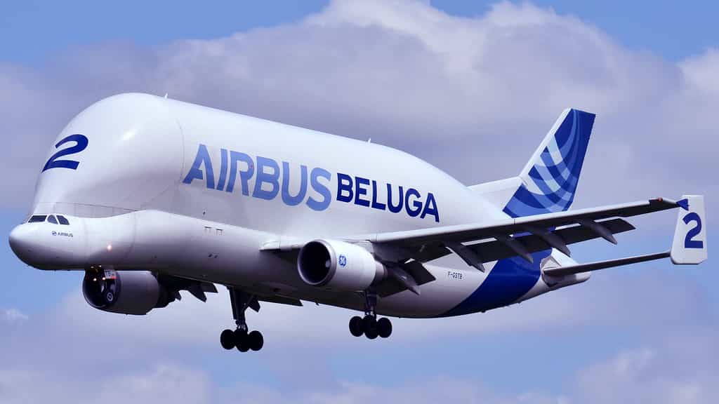 L'Airbus A300-600ST ou l'avion « Beluga »