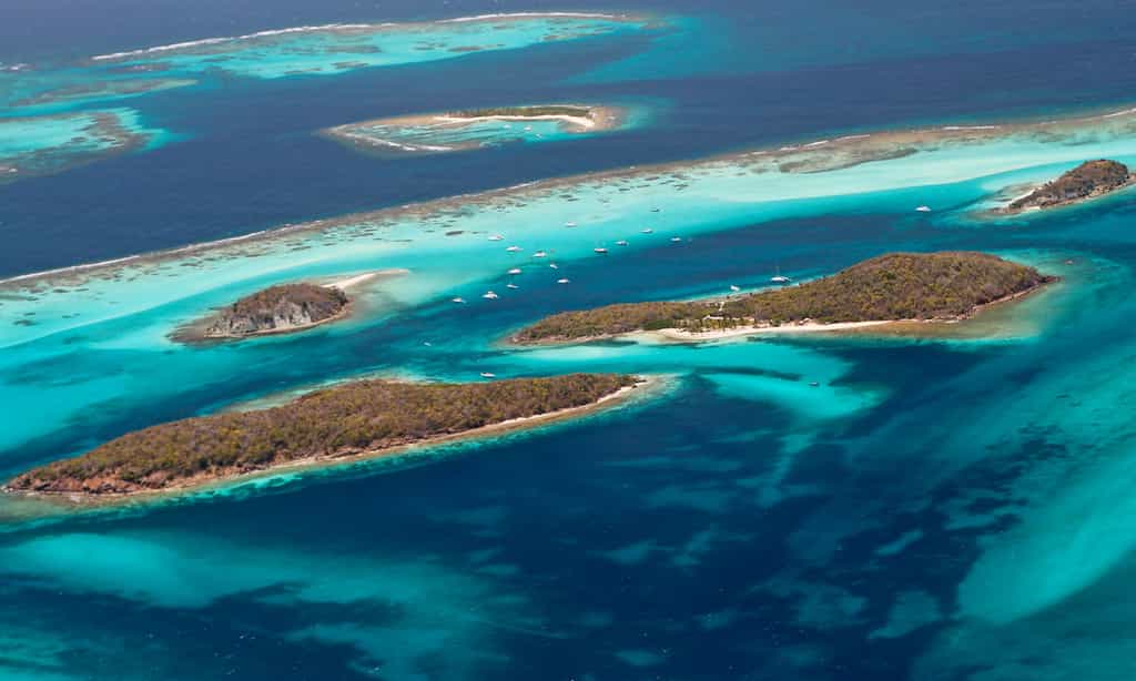 Tobago Cays et ses merveilleux récifs