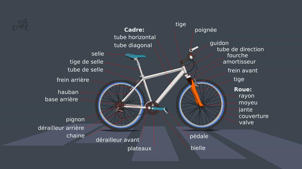 Anatomie d’un vélo