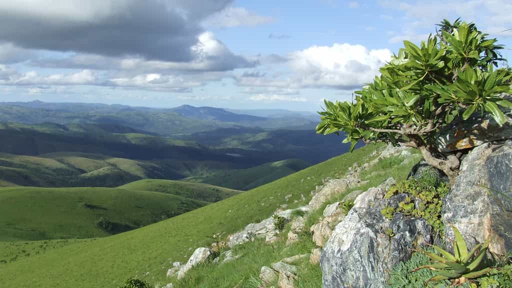 Afrique du Sud : les montagnes de Barberton Makhonjwa