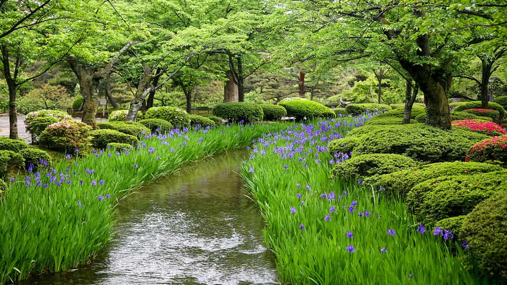 Le jardin japonais Kenroku-en, le « jardin aux six vertus