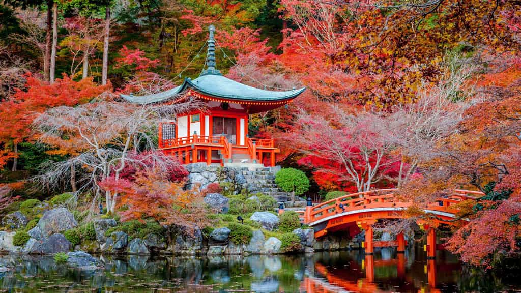 Le jardin Daigo-ji, temple des fleurs à Kyoto