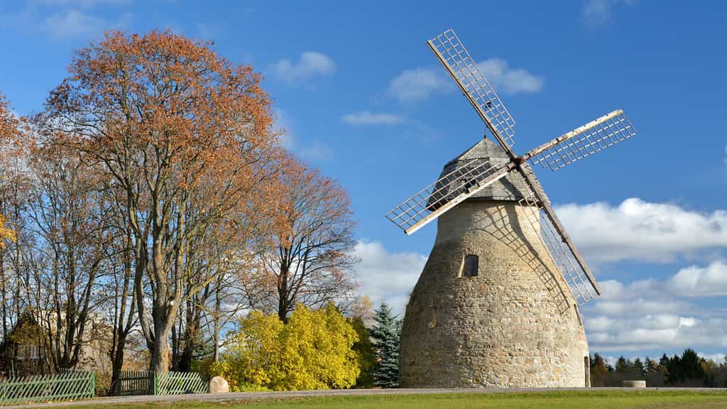 Le rare moulin à vent d'Aaspere, Estonie