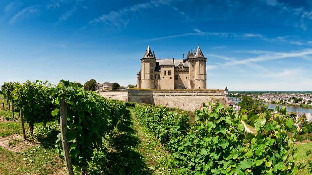 Le château de Saumur, bien cadré