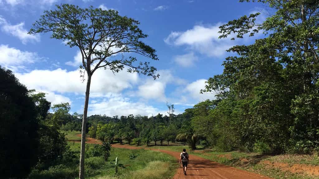 Le parc amazonien de Guyane, l'un des plus grands espaces protégés du monde