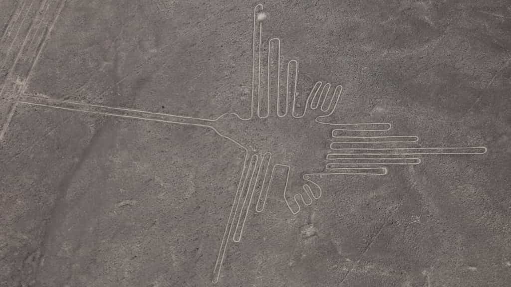 Le Colibri de Nazca