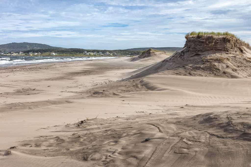 Un été sur les dunes de Langlade