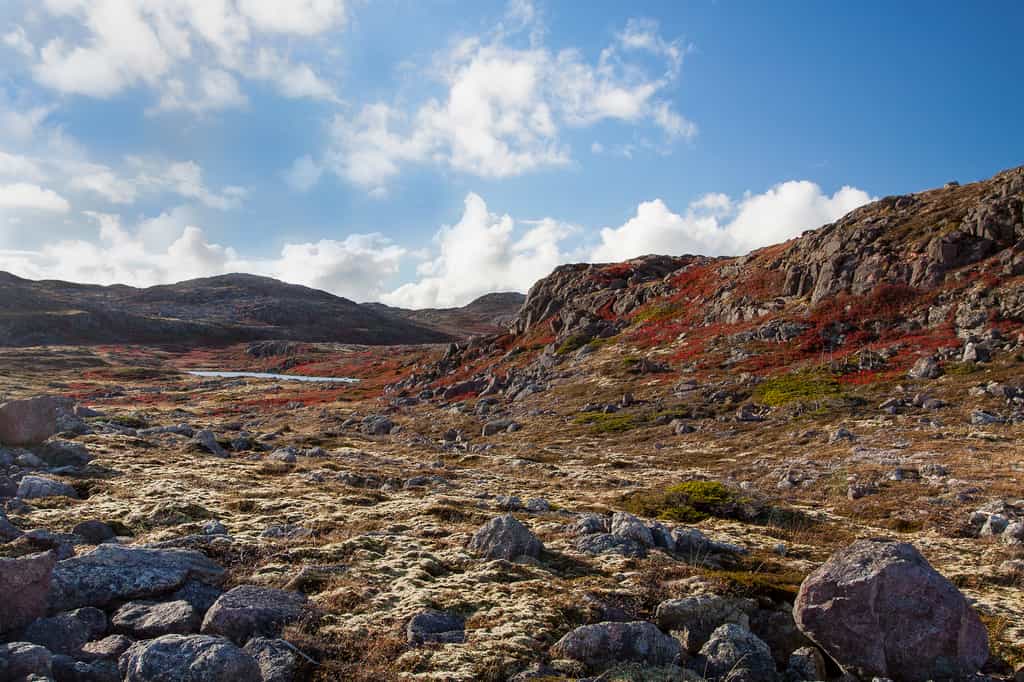 Les collines de Saint-Pierre-et-Miquelon