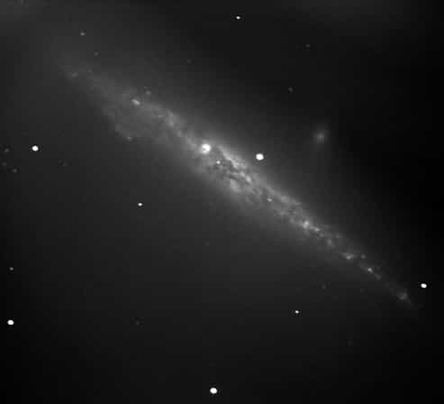 NGC 4631, la Galaxie de la Baleine