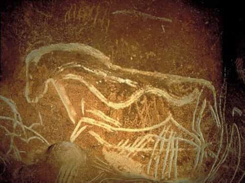 Gravure de cheval dans la grotte Chauvet