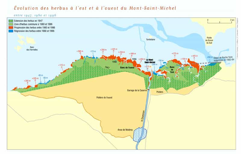 Les herbus autour du Mont-Saint-Michel
