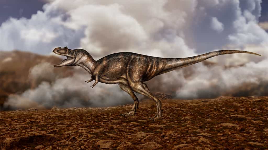 Albertosaurus sarcophagus, un parent de T-Rex