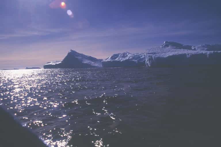 Sortie en zodiac aux abords de la station côtière Antarctique Dumont d'Urvi