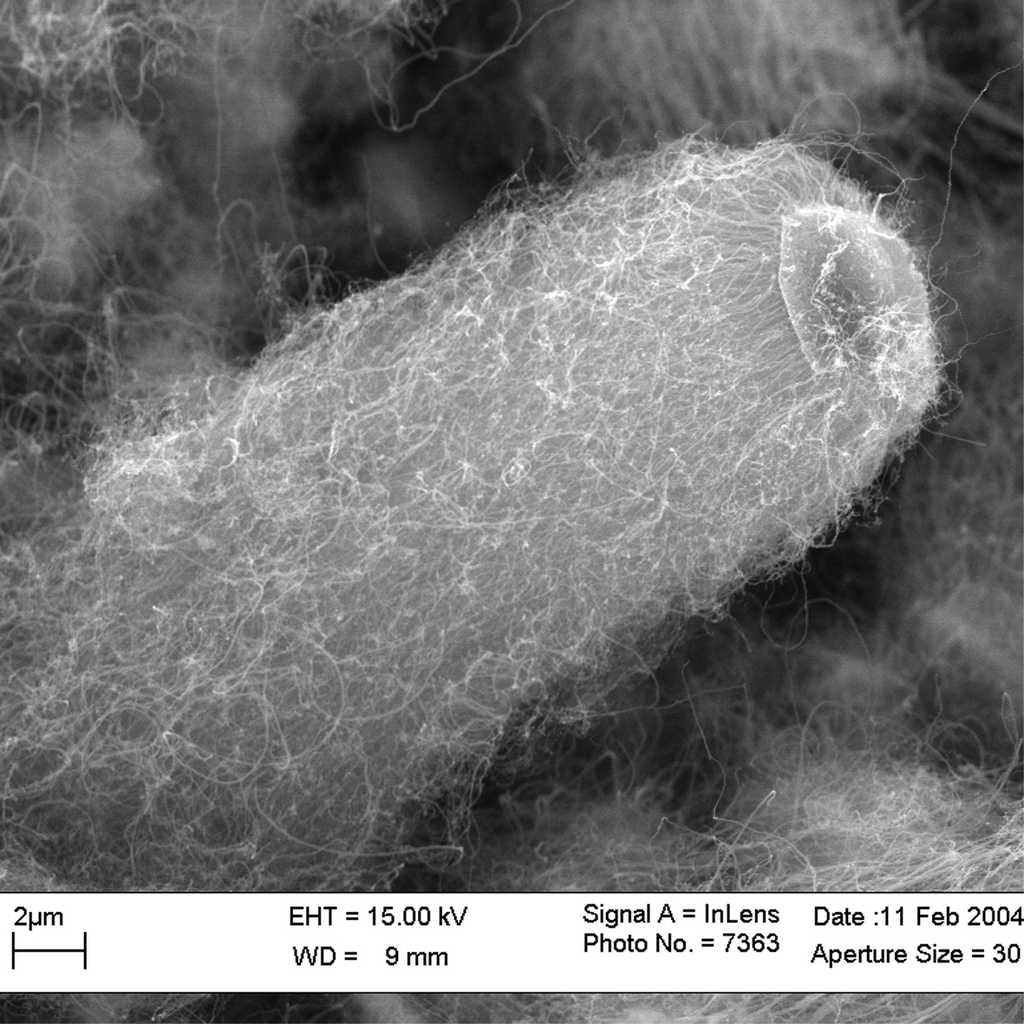 Des nanotubes de carbone pour les matériaux composites
