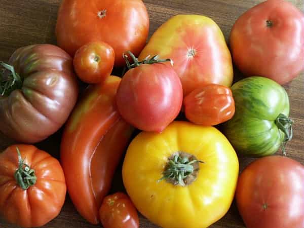 La tomate et ses nombreuses variétés