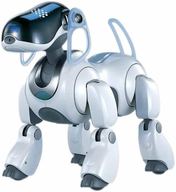 Aibo le robot-chien