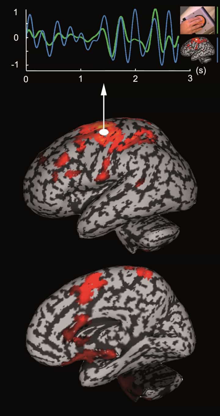 La magnétoencéphalographie (MEG), pour lire le cerveau