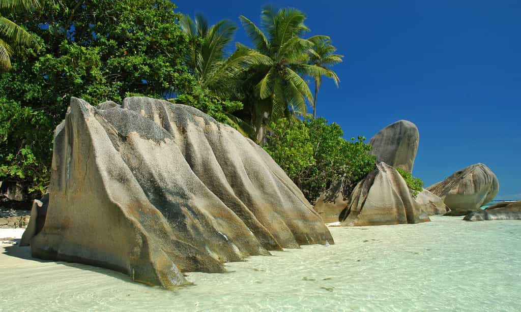 Paysage paradisiaque des Seychelles