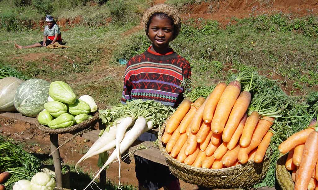 Marché aux légumes le long de la nationale 7, Madagascar