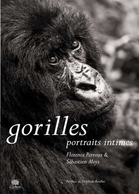 « Gorilles, portraits intimes »