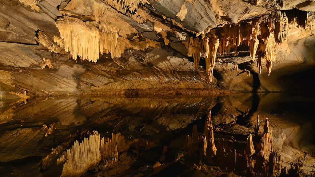 Les grottes de Han et la salle des Draperies, en Belgique