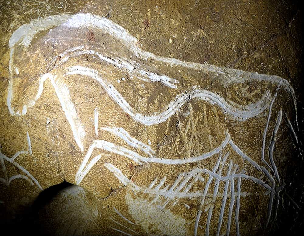 Gravure de cheval dans la Salle Hillaire de la grotte Chauvet