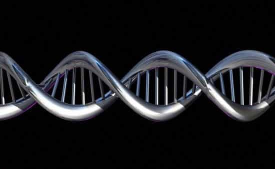 L'ADN de chaque individu possède environ 3,4 milliards de paires de nucléotides. Ce génome contient les informations nécessaires pour faire fonctionner l'organisme. © Spooky Pooka, Wellcome Images, cc by nc nd 2.0