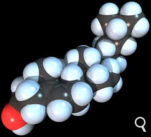 Le cholestérol est un lipide essentiel pour l’organisme. Cependant, certaines molécules issues du cholestérol sont néfastes pour la santé. Le 27-hydroxycholestérol par exemple stimule la croissance des cellules tumorales dans le sein. Il est donc important de limiter l'apport de cholestérol dans son alimentation. © RedAndr, Wikimedia Commons, GNU 1.2