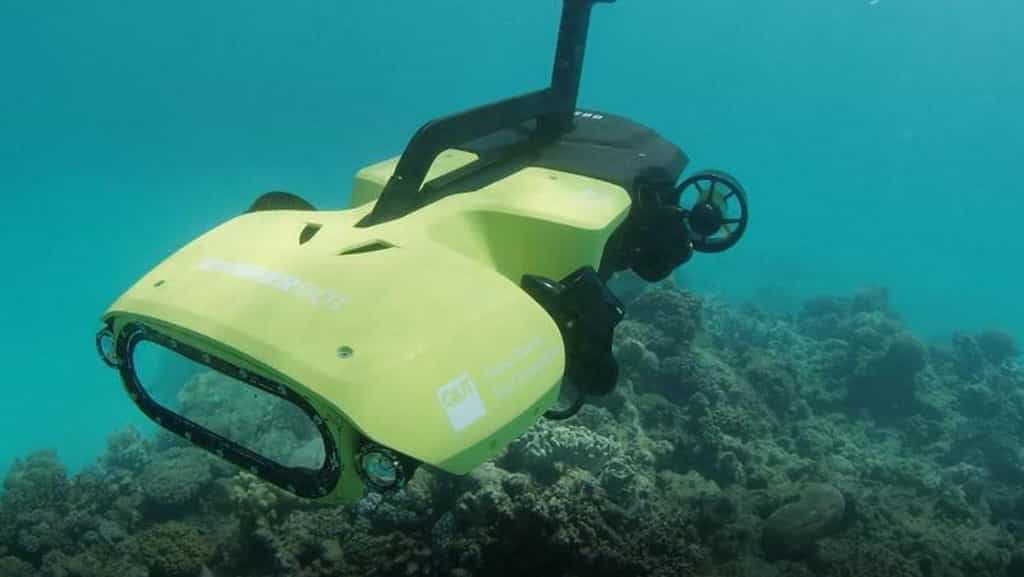 Le RangerBot a été conçu pour être peu onéreux à fabriquer afin de favoriser son déploiement à grande échelle. © Queensland University of Technology

