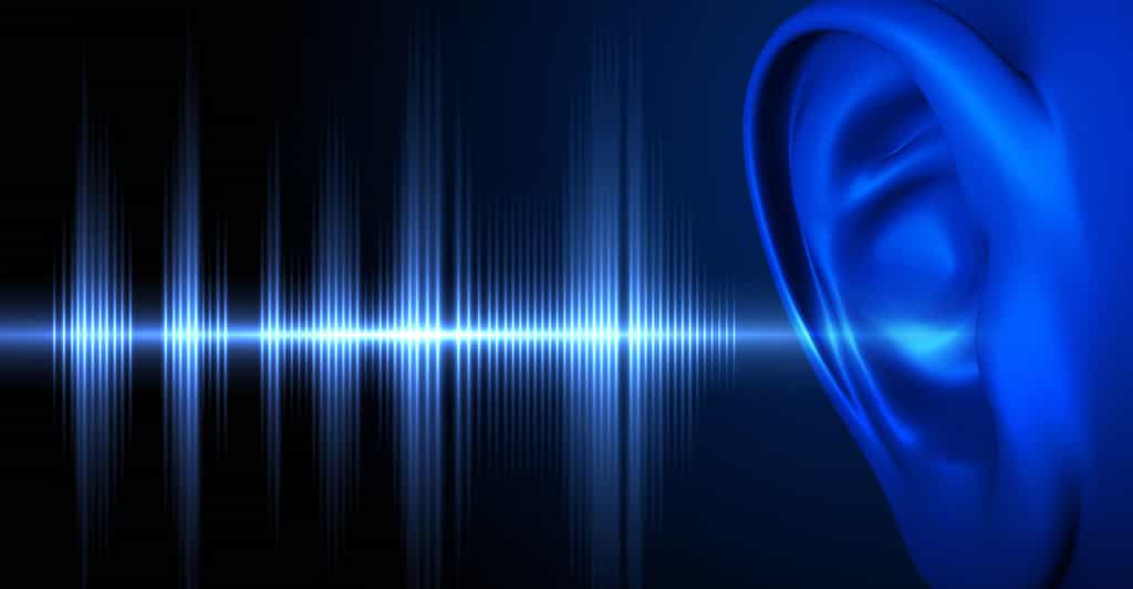 Appareils auditifs : les types de prothèses