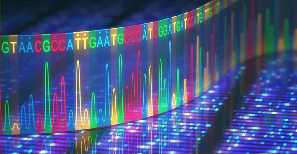 Empreinte génétique : l'ADN