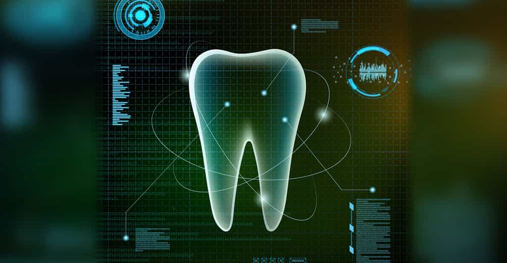 Anatomie de la dent