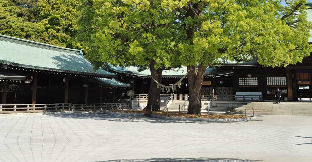 Le sanctuaire Meiji de Tokyo, 100 ans d’histoire !