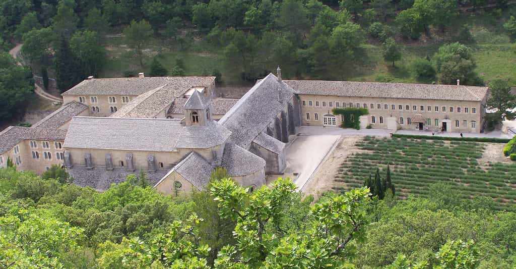 L'abbaye Notre-Dame de Sénanque
