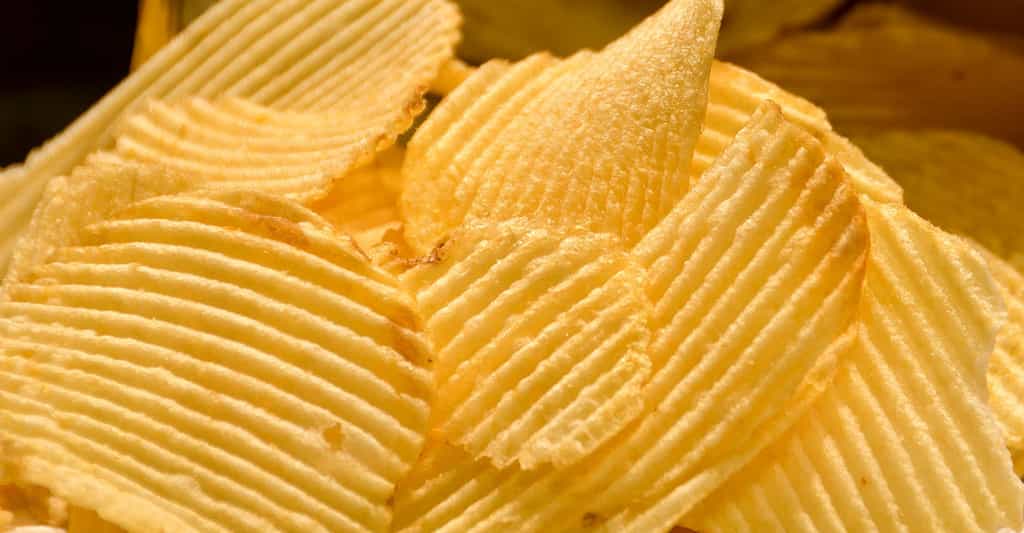 L'industrie de la pomme de terre : frites, chips et OGM
