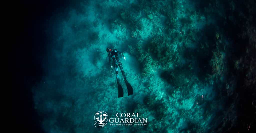 Coral Guardian : adopter un corail