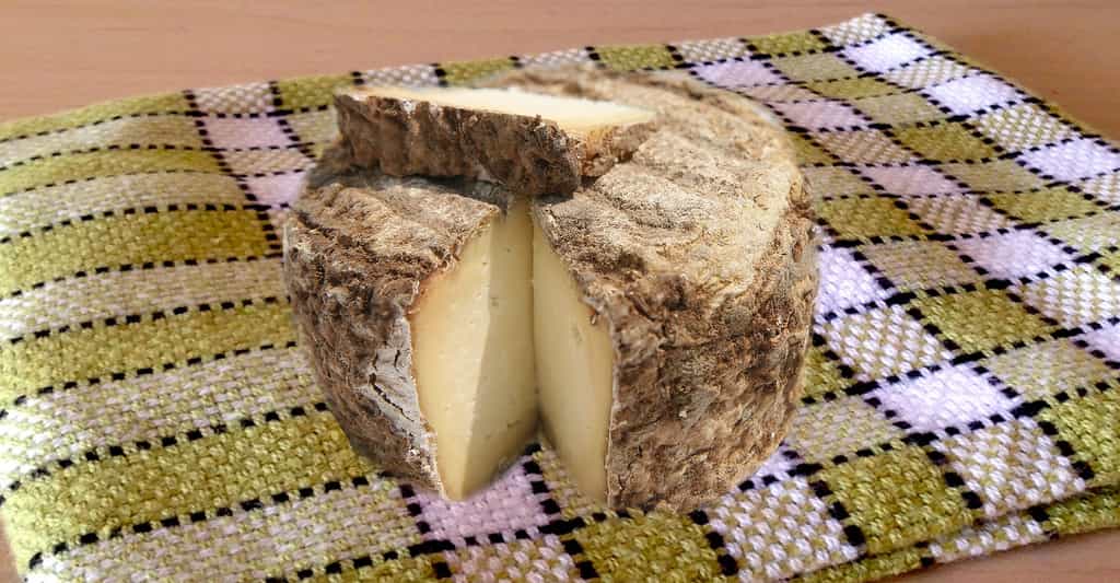 Fromages et acariens : les fromages aux artisons, ou artisous