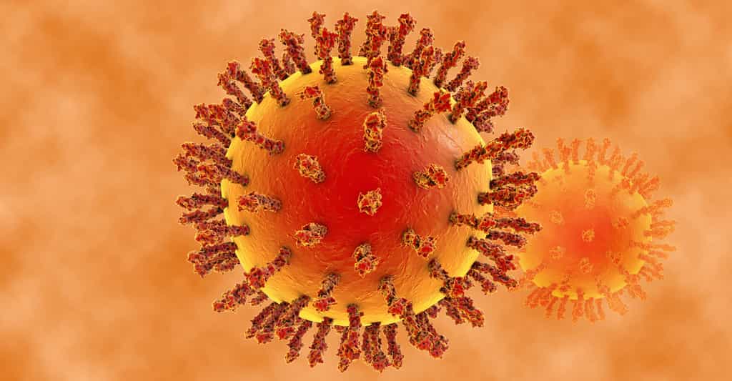 La fabrication des vaccins : exemple avec la grippe