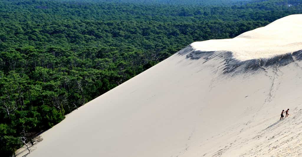La dune du Pyla, édifice de sable, est la plus connue des attractions autour du bassin d'Arcachon. © DR