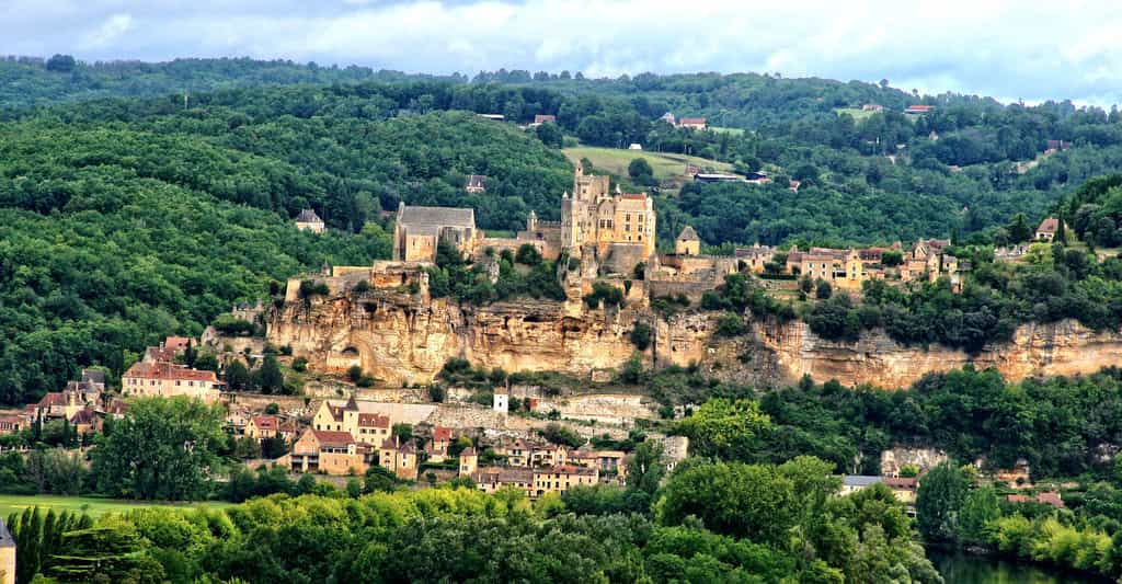 Dordogne : grottes et ours des cavernes