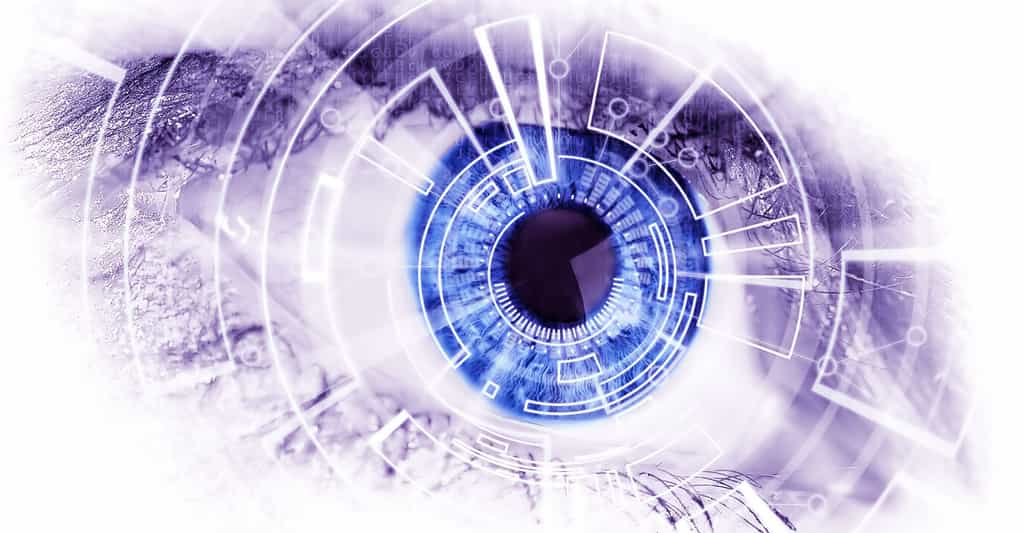 La cataracte, l'œil : pour en savoir plus