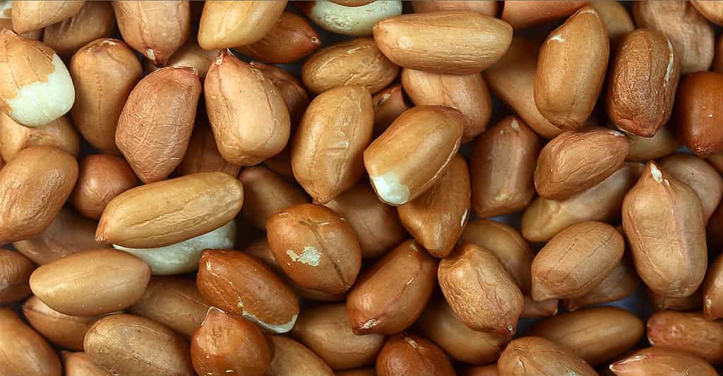 Allergie aux arachides : symptômes et aliments interdits